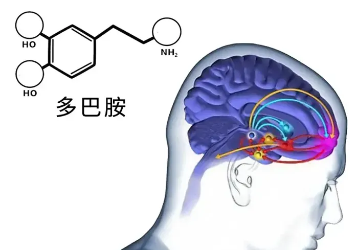 通过这样做，我的体重从140 多磅减到了95 磅。